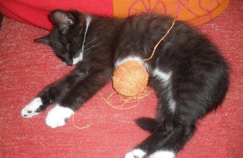 Peitz House | Ferienhaus Duhra