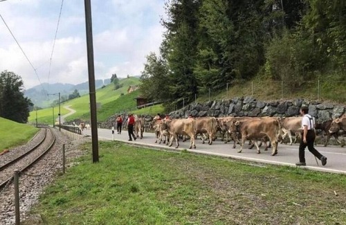 Hundwil House | Ferienhaus für 6 Gäste mit 75m² in Urnäsch