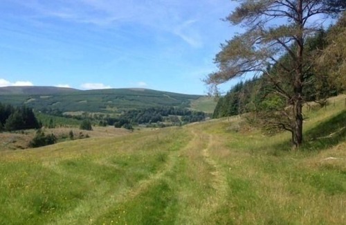 Biggar Other | Ferienhaus für 8 Gäste mit 130m² in Tweedsmuir