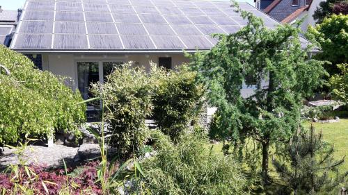 Willersdorf House | Ferienhaus Für Sieben Personen