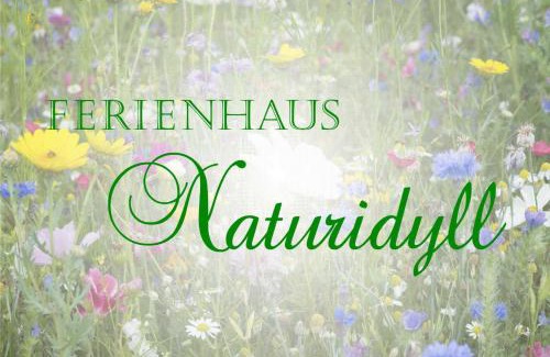 Reinberg Apartment | Ferienhaus Falkenhagen mit Garten