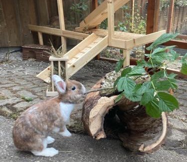 Langschlag Cabin | Ferienhaus FRIEDLHOF