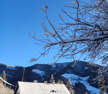 Breitenau am Hochlantsch House | Ferienhaus Häusler