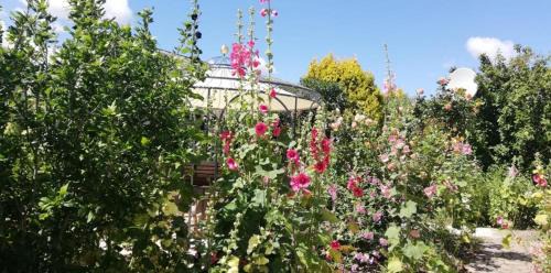 Garz/Rugen House | Ferienhaus Helge an der Schoritzer Wiek