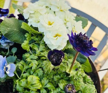 Pritzwalk House | Ferienhaus Im Grünen