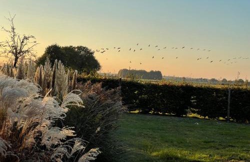 Scharringhausen House | Ferienhaus Landruhe