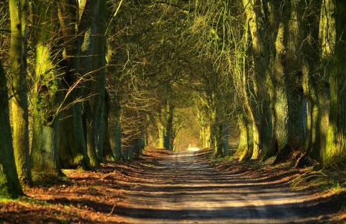 Dobin am See House | Ferienhaus Liwi