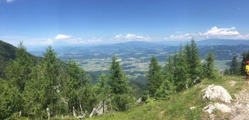 Feistritz ob Bleiburg Apartment | Ferienhaus Miklin