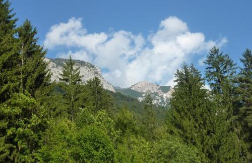 Notsch im Gailtal House | Ferienhaus Oitzl