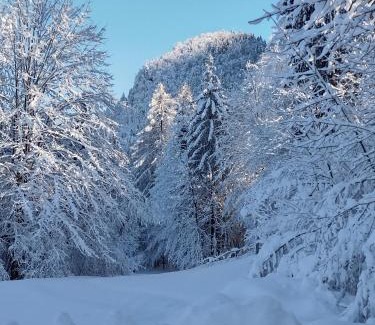 Arnoldstein House | Ferienhaus Seltschach 193