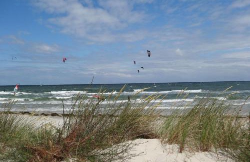 Breege Apartment | Ferienhaus Solamar FeWo EG - Terrasse, Garten