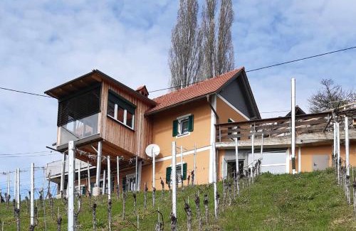 Sankt Johann im Saggautal Apartment | Ferienhaus Urschitz