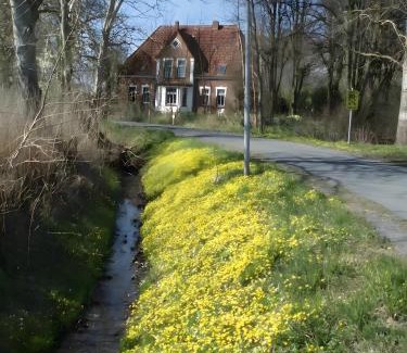 Schulp Apartment | Ferienhof Schülp