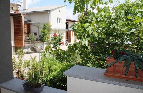 Gols Apartment | Ferienhof Weingut Lunzer