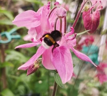 Region Hannover District House | Ferienunterkunft Barsinghausen