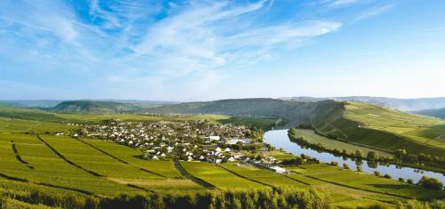 Leiwen Apartment | Ferienweingut Ulrike Thul