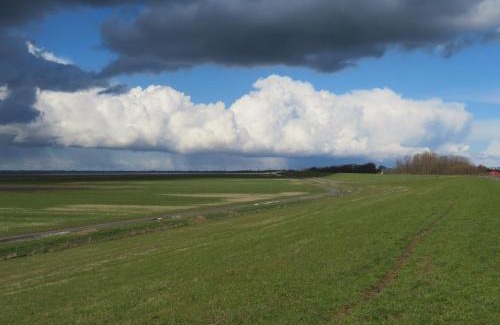 Sehestedt Apartment | Ferienwohnung Galerie 1