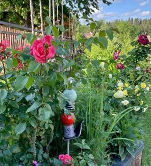 Sankt Stefan ob Stainz Apartment | Ferienwohnung Fam. Lerch