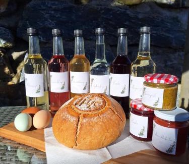 Sankt Veit im Pongau Apartment | Ferienwohnung Reicherhof