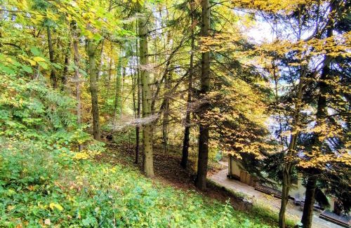 Bad Sooden-Allendorf Apartment | Ferienwohnung Haus am Wald