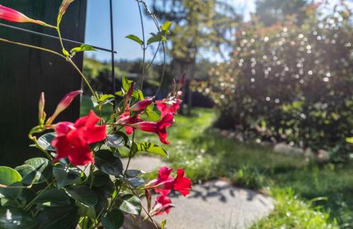 Joachimsthal Apartment | Ferienwohnung 250m zum Grimnitzsee