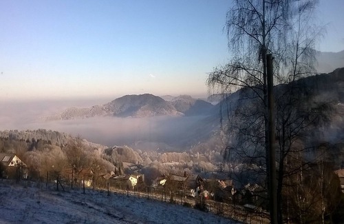 Neusatzeck Apartment | Ferienwohnung, 41qm, 1 Schlafzimmer, max. 3 Personen