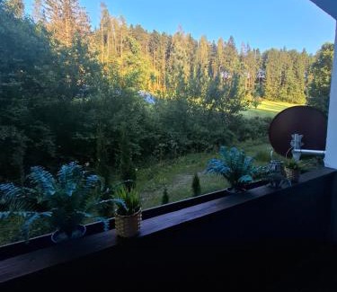 Edlbach Apartment | Ferienwohnung am Bischofsberg