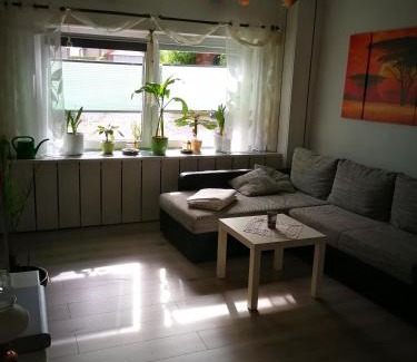 Dankerode Apartment | Ferienwohnung am Finkenherd