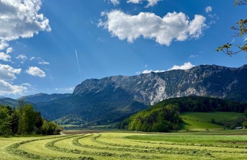 Reichenau an der Rax House | Ferienwohnung am Fuße der Rax