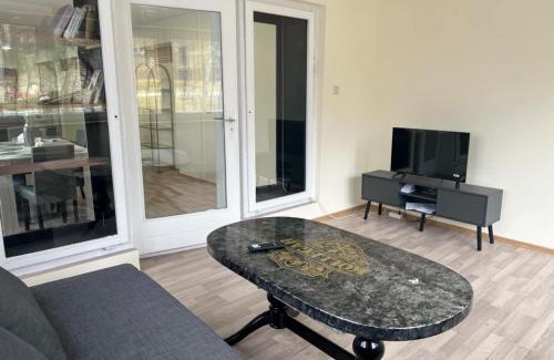 Auerbach Apartment | Ferienwohnung am Neumarkt