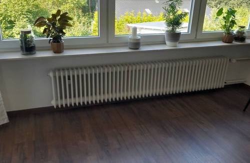 Bad Arolsen Apartment | Ferienwohnung am Waldrand und Trotzdem Zentral