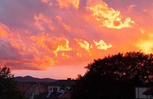 Zittau Apartment | Ferienwohnung Anno1898 Zittau