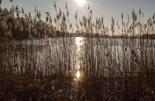 Niedergurig Apartment | Ferienwohnung/app. für 2 Gäste mit 30m² in Malschwitz