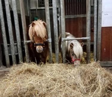 Artland Apartment | Ferienwohnung Art Land