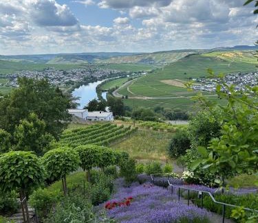 Zummeterhof Apartment | Ferienwohnung "Auszeit Im alten Weinberg"
