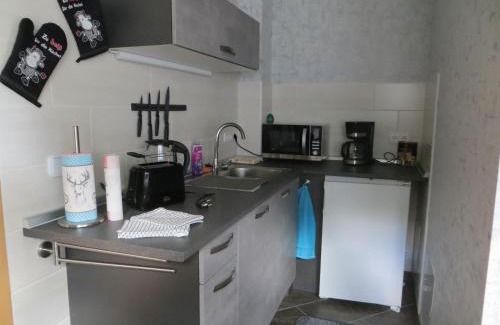 Schneeberg Apartment | Ferienwohnung Beck Schneeberg