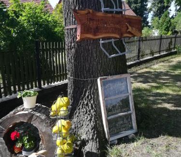 Klitten Apartment | Ferienwohnung Bittner