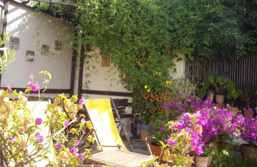 Kirchenlamitz Apartment | Ferienwohnung Blütentraum