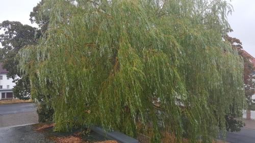 Bleicherode Apartment | Ferienwohnung Bleicherode