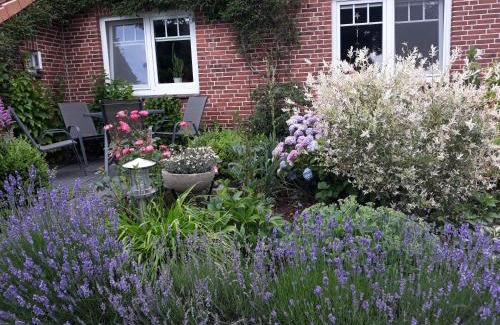 Busdorf Apartment | Ferienwohnung Bloeck