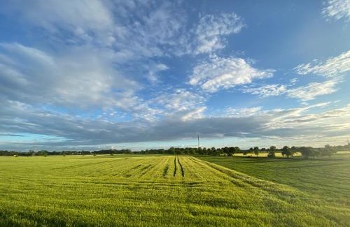 Elsterheide Apartment | Ferienwohnung Bock im Seenland