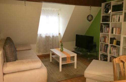 Brombachtal Apartment | Ferienwohnung Boellsteiner Hoehe
