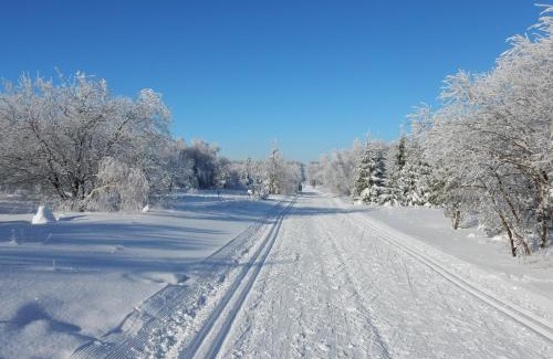 Schellerhau Apartment | Ferienwohnung Cafe`Rotter , Brigitte und Jürgen Rotter