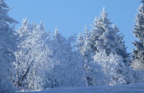 Schellerhau Apartment | Ferienwohnung Cafe`Rotter , Brigitte und Jürgen Rotter