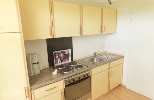 Neualbenreuth Apartment | Ferienwohnung mit Terrasse und Voll Ausgestatteter Küche