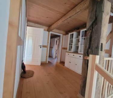 Bertsdorf Apartment | Ferienwohnung Hochwald