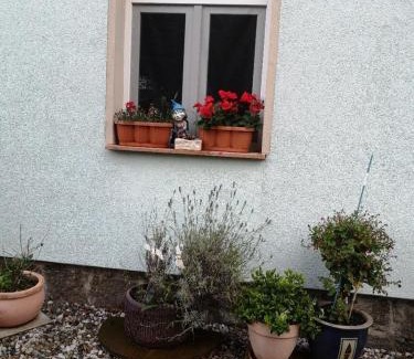 Brandis Apartment | Ferienwohnung