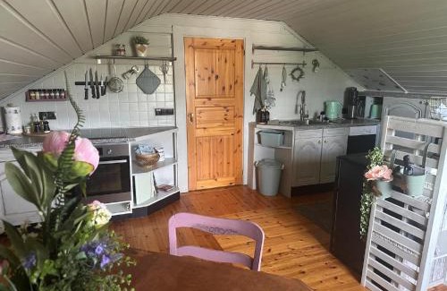 Hohenberg a.d.Eger Apartment | Ferienwohnung Midsommar