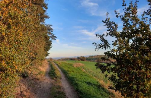Markersdorf Apartment | Ferienwohnung Dr.Sickor