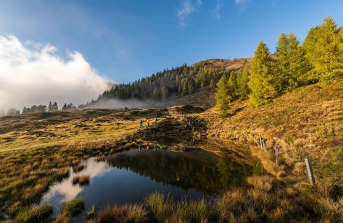 Berg im Drautal Apartment | Ferienwohnung DrauSport